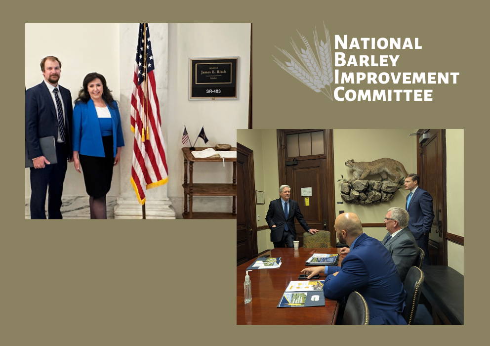 National Barley Improvement Committee selects new leadership